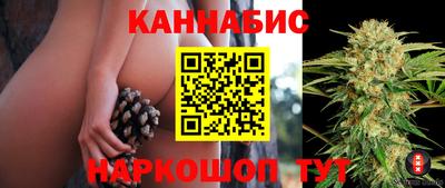 гидра Заводоуковск