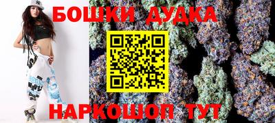 гидра Заводоуковск