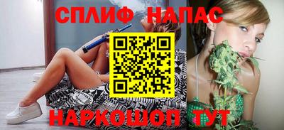 гидра Заводоуковск