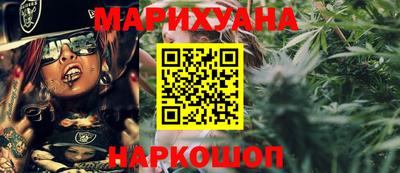 гидра Заводоуковск