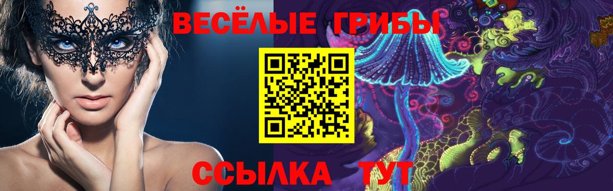 Псилоцибиновые грибы GOLDEN TEACHER  Вход с VPN  Заводоуковск 