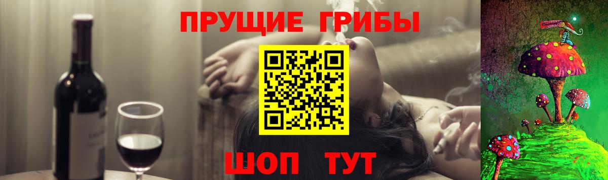 Псилоцибиновые грибы MAGIC MUSHROOMS Заводоуковск